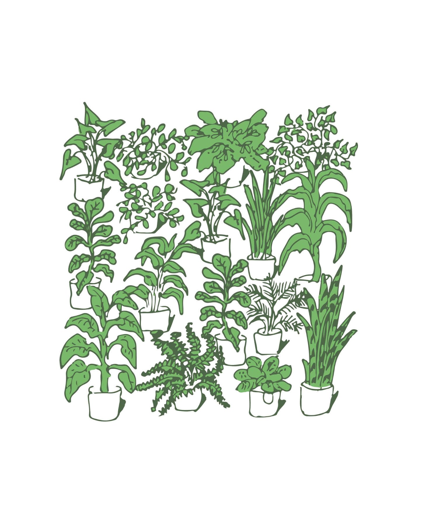 House Plant Graphic Tee - White