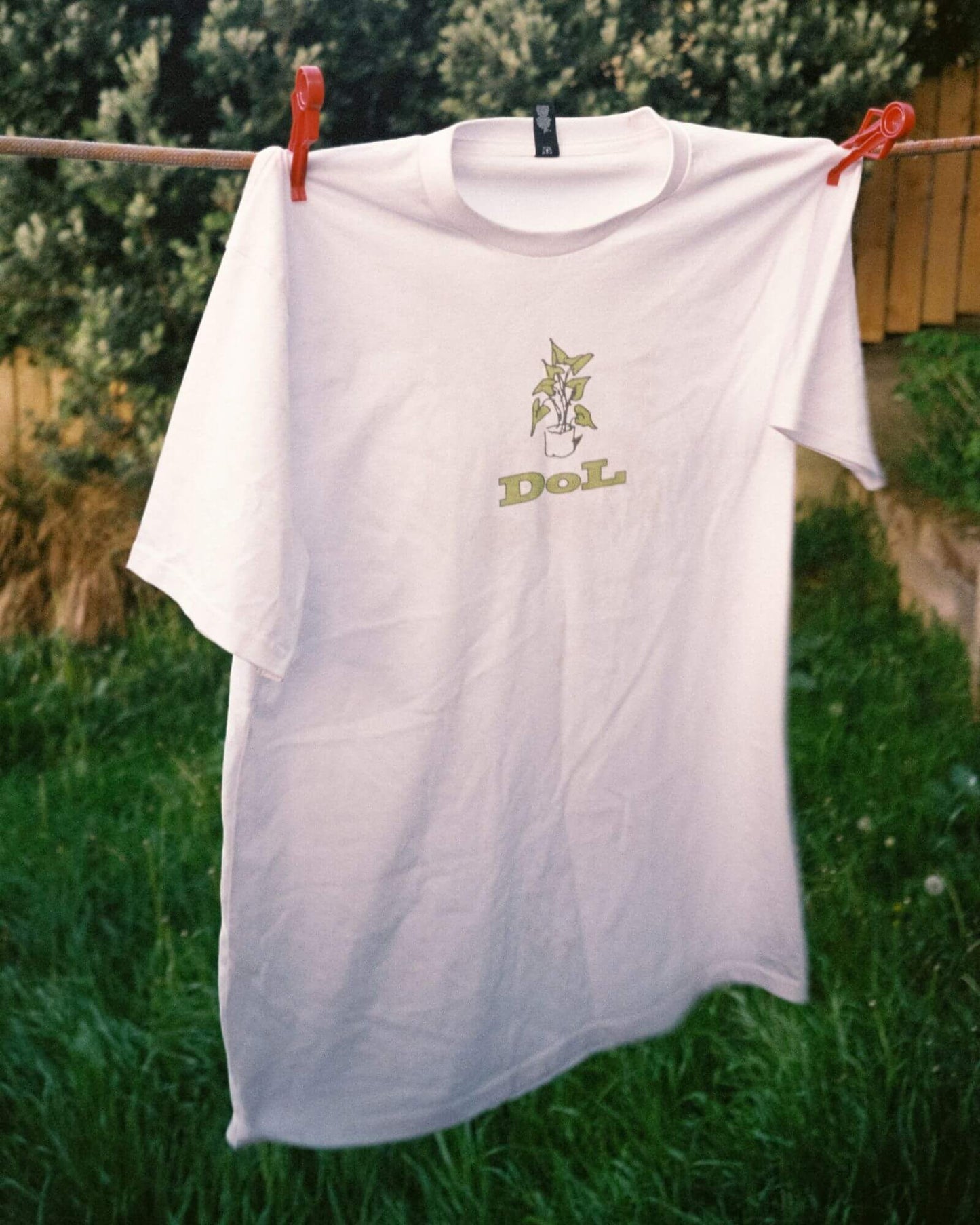 House Plant Graphic Tee - White